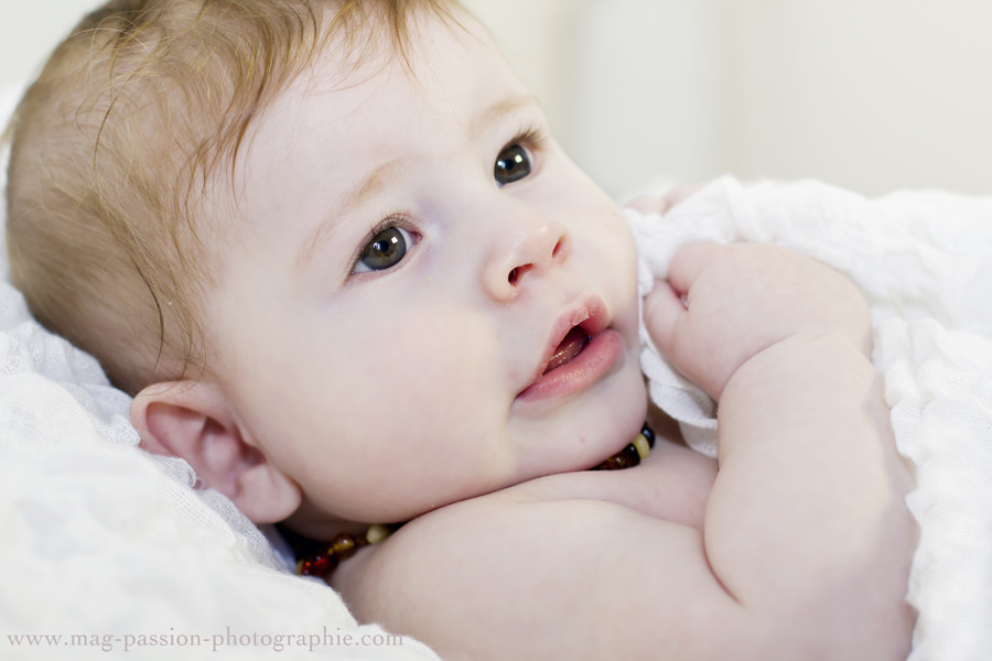 IMG_4011 as Smart Object-1